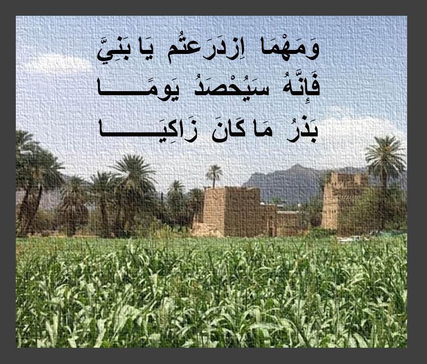 وصية الحارث : ومهما ازدرعتم يا بنيّ فإنه سيحصد يوماً بذر ما كان زاككيا

The poems of St. Arethas of Najran